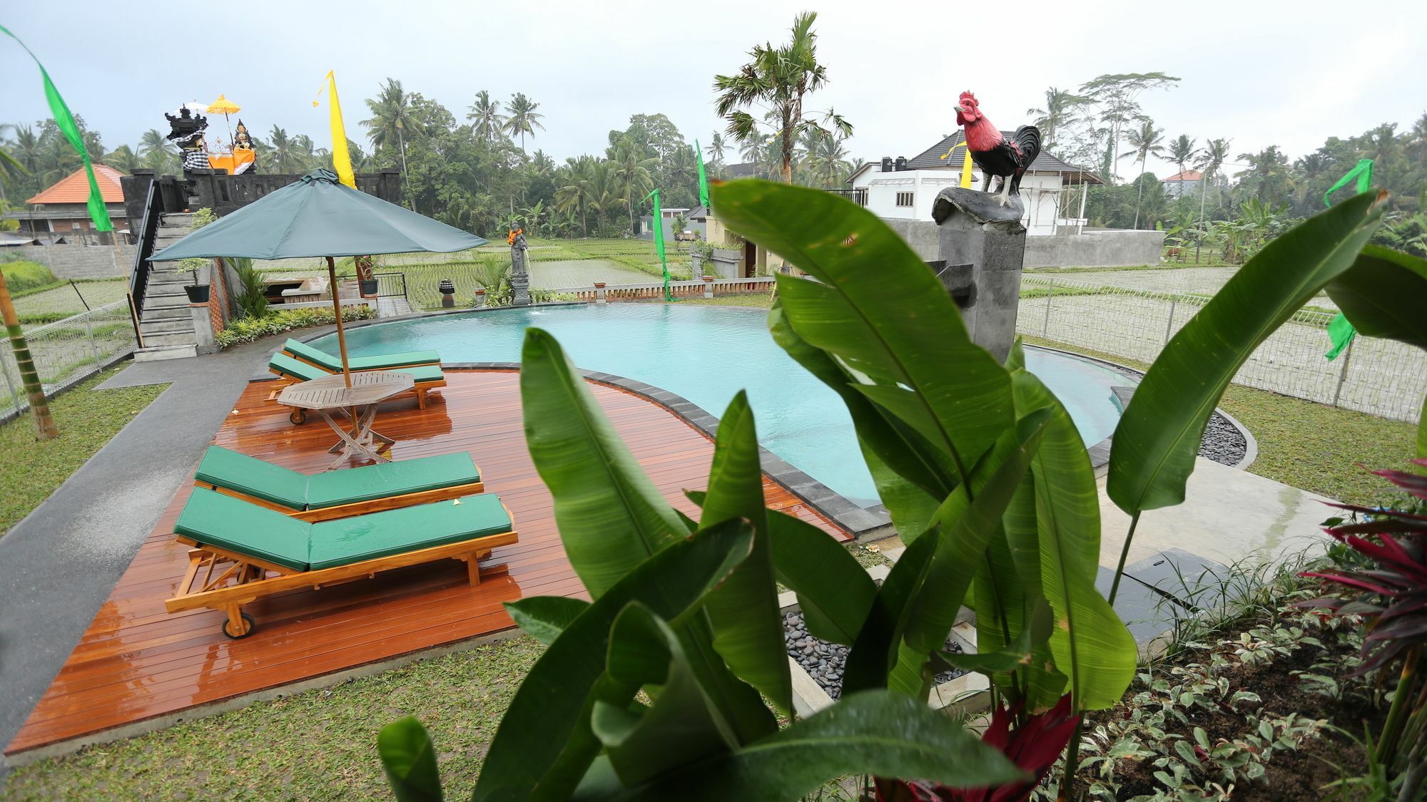 Darra Ria Villa Ubud מראה חיצוני תמונה